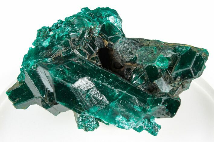 Glistening Dioptase Crystal Cluster on Plancheite - Congo #346123